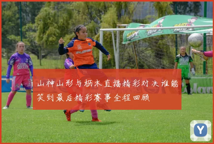 山神山形与枥木直播精彩对决谁能笑到最后精彩赛事全程回顾