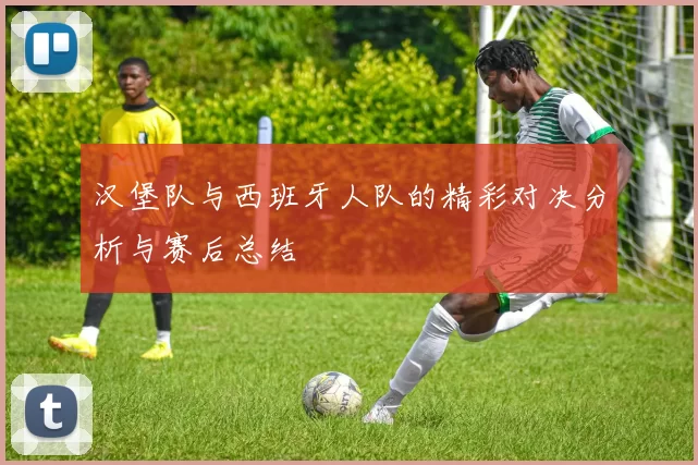 汉堡队与西班牙人队的精彩对决分析与赛后总结