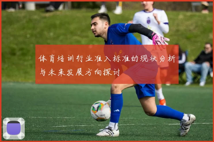 体育培训行业准入标准的现状分析与未来发展方向探讨