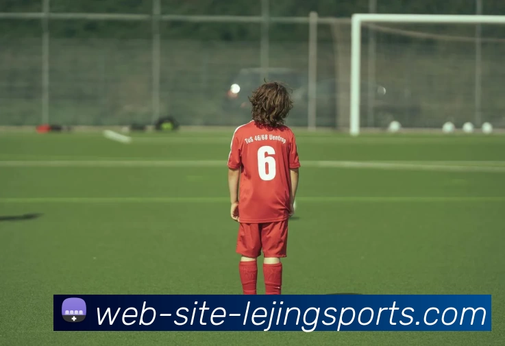 乐竞体育平台生态图